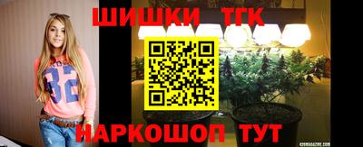 винт Дубна