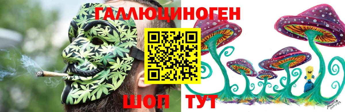 Галлюциногенные грибы MAGIC MUSHROOMS Назарово