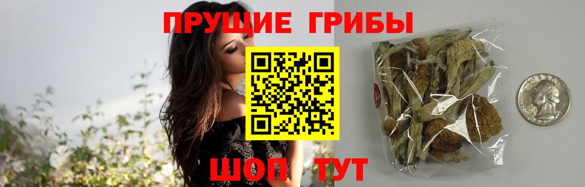 Галлюциногенные грибы мухоморы  Псилоцибиновые грибы MAGIC MUSHROOMS  Назарово  Вход с VPN 
